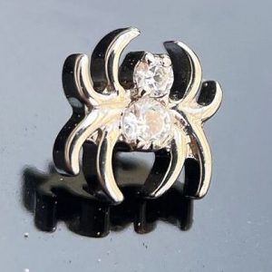 araña cristal