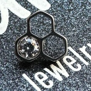 Colmena hueca con cristal