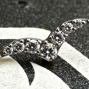 Trazo gaviota cristal