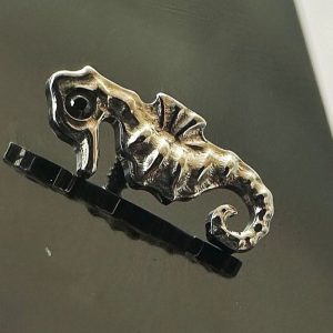 Caballito de mar ojo cristal